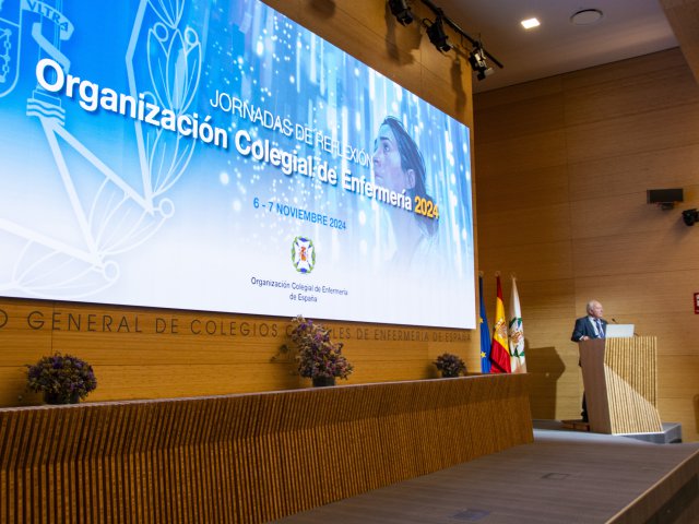 01Florentino Pérez Raya, presidente del Consejo General de Enfermería, inaugura las jornadas
